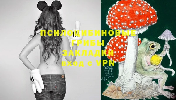 круглые Белокуриха